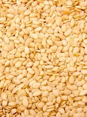 Muskmelon Seeds