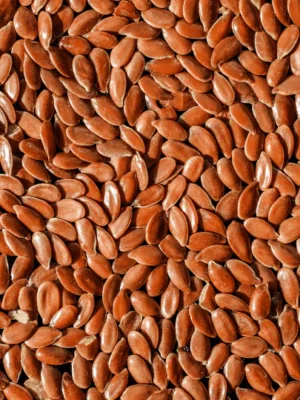 Flax Seeds